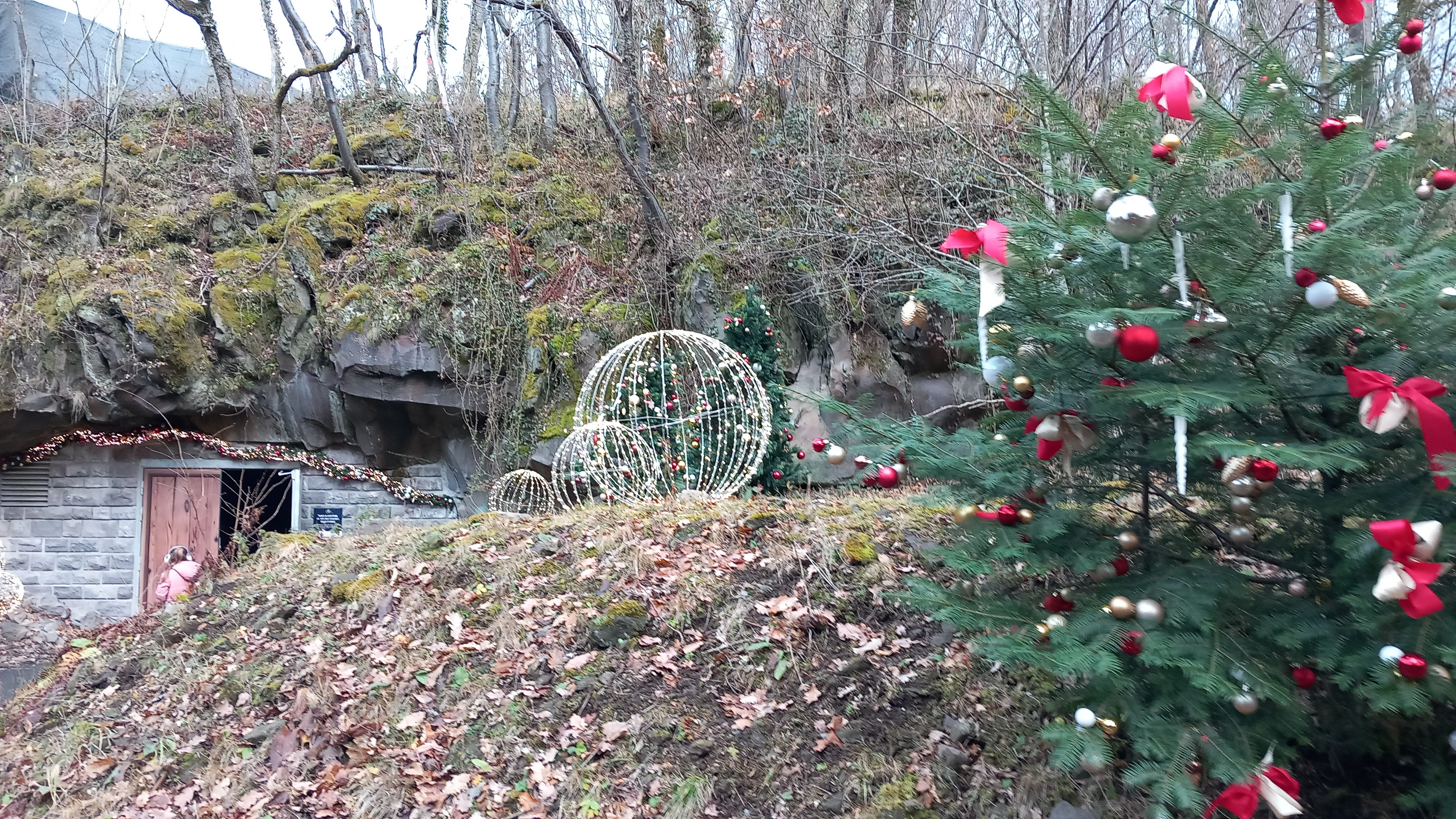 Photo n° 6 de l'avis de Françoise.a fait le 28/12/2023 à 18:36