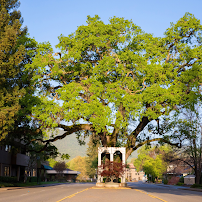 Lara George Photography - Photo 6 - Car repair in , Concord