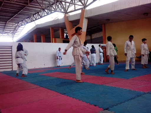 Gimnasios de taekwondo en Cartagena