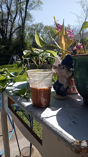 Coffee Shop «Mudhouse Coffee», reviews and photos, 323 South Ave, Springfield, MO 65806, USA