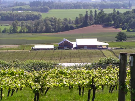 Winery «Benton-Lane Winery», reviews and photos, 23924 Territorial Rd, Monroe, OR 97456, USA