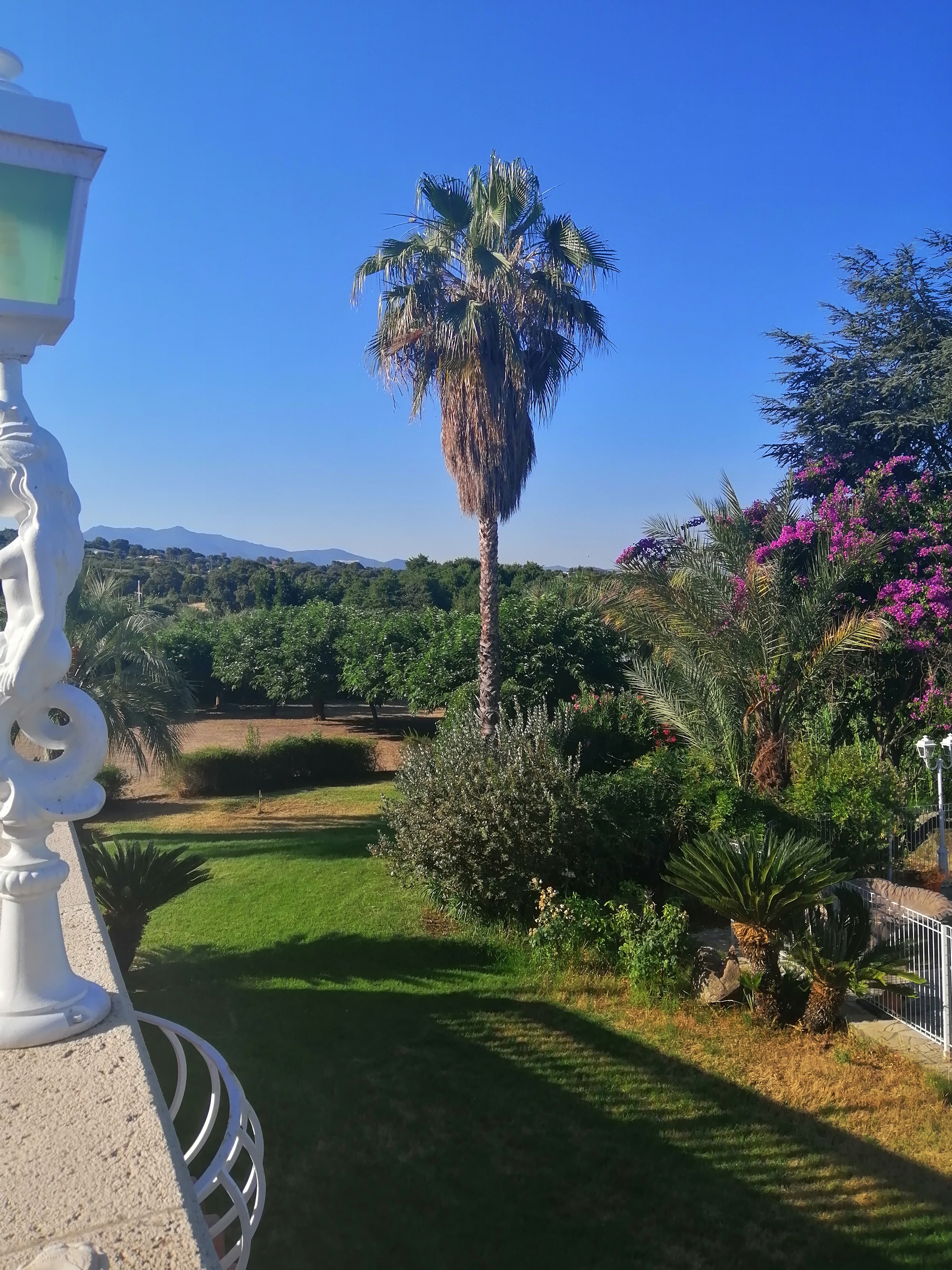 Photo n° 2 de l'avis de Reich.i fait le 19/06/2022 à 08:51