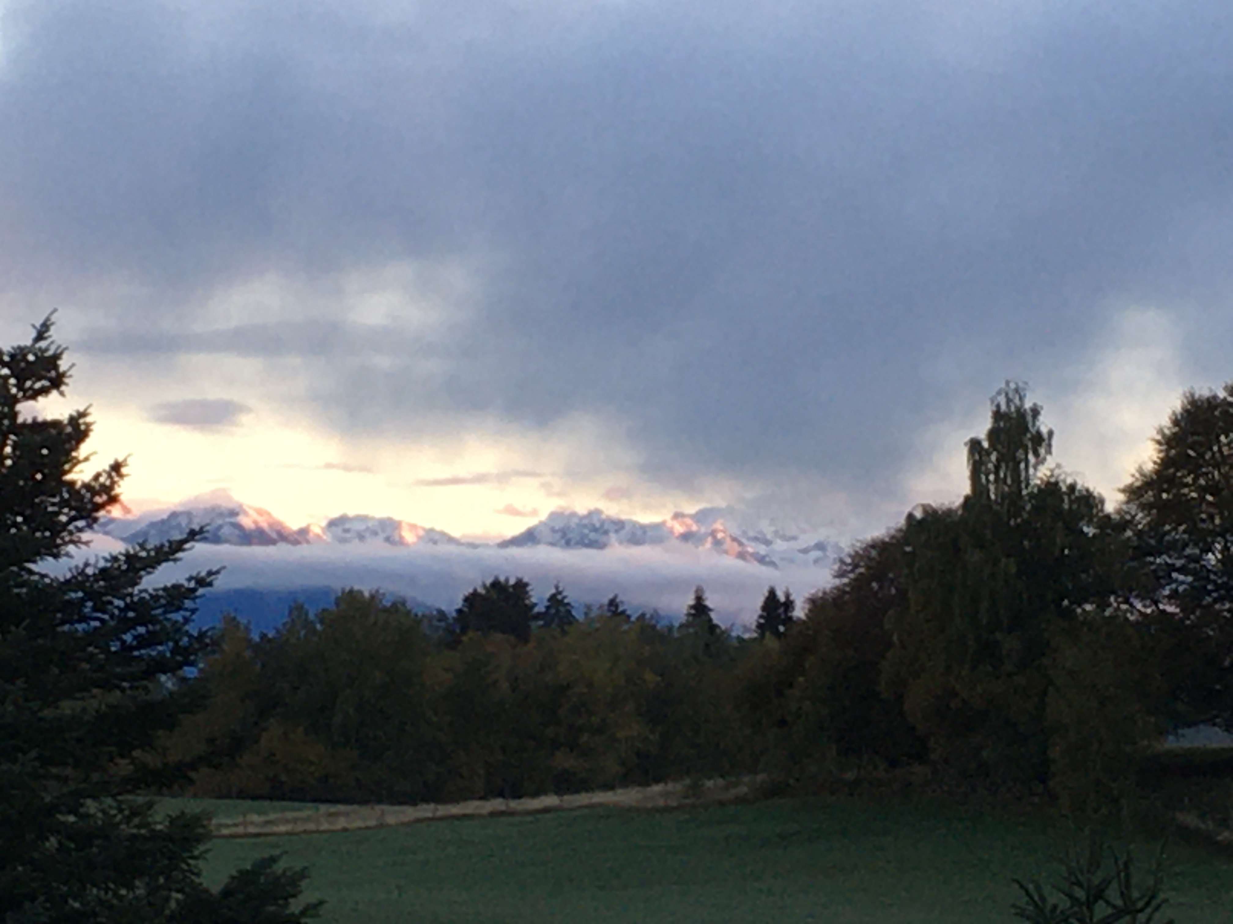 Photo n° 1 de l'avis de Laurent.a fait le 31/10/2023 à 17:31