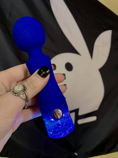 Clothing Store «Wild Things Lingerie & Adult Novelty Store», reviews and photos, 5340 E Silver Springs Blvd, Silver Springs, FL 34488, USA