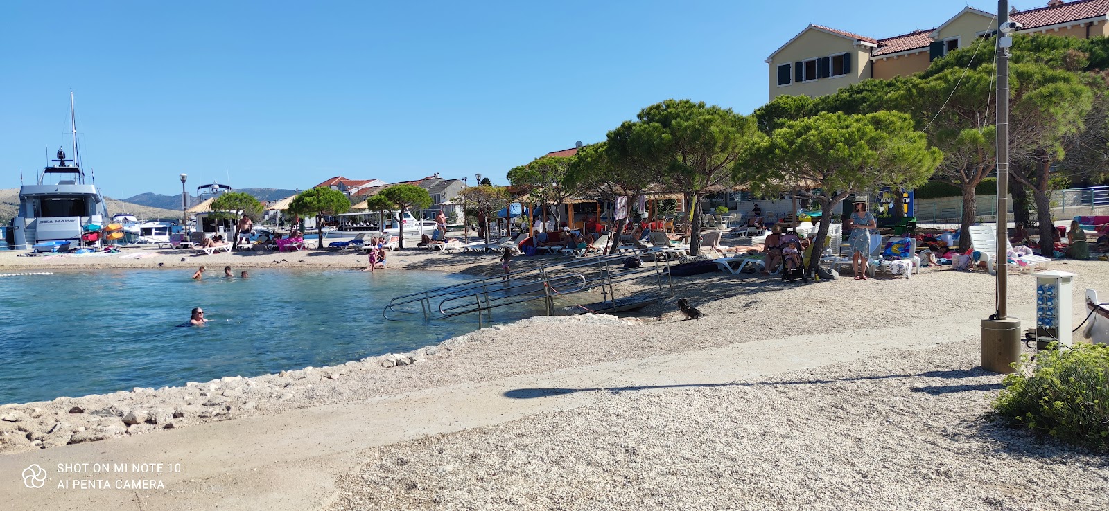 Plaza Spongiola photo #7