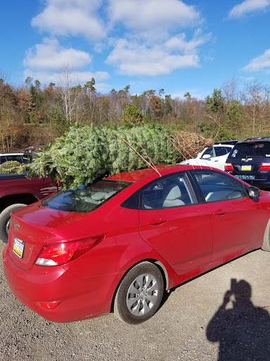 Hyundai Dealer «Major Hyundai», reviews and photos, 1534 N 9th St, Stroudsburg, PA 18360, USA