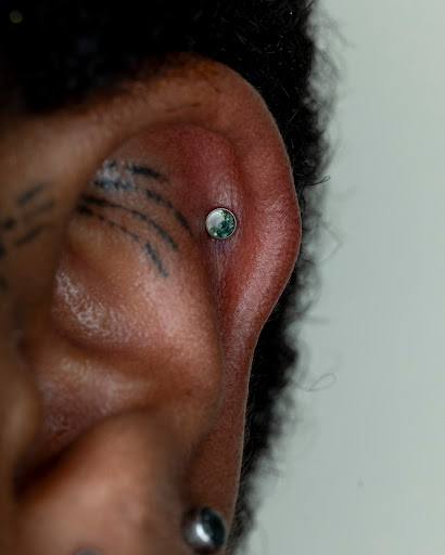 Explore fantastic mr fox tattoo ideas, creative tattoo ideas in San Diego, available at Rose Body Piercing