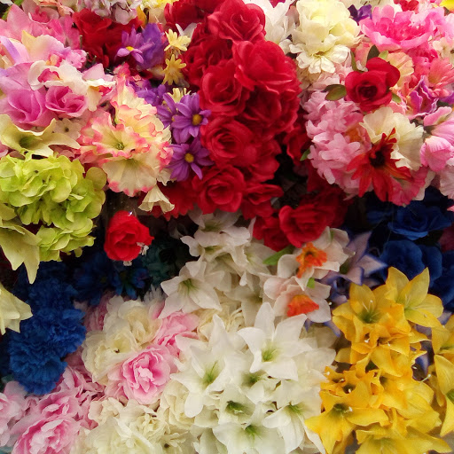 Dollar Store «Dollar Tree», reviews and photos, 1952 State Rd 44, New Smyrna Beach, FL 32168, USA