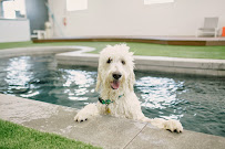 Unleashed Dog Hotel - Photo 6 - Car repair in Murray, UT, Salt Lake City