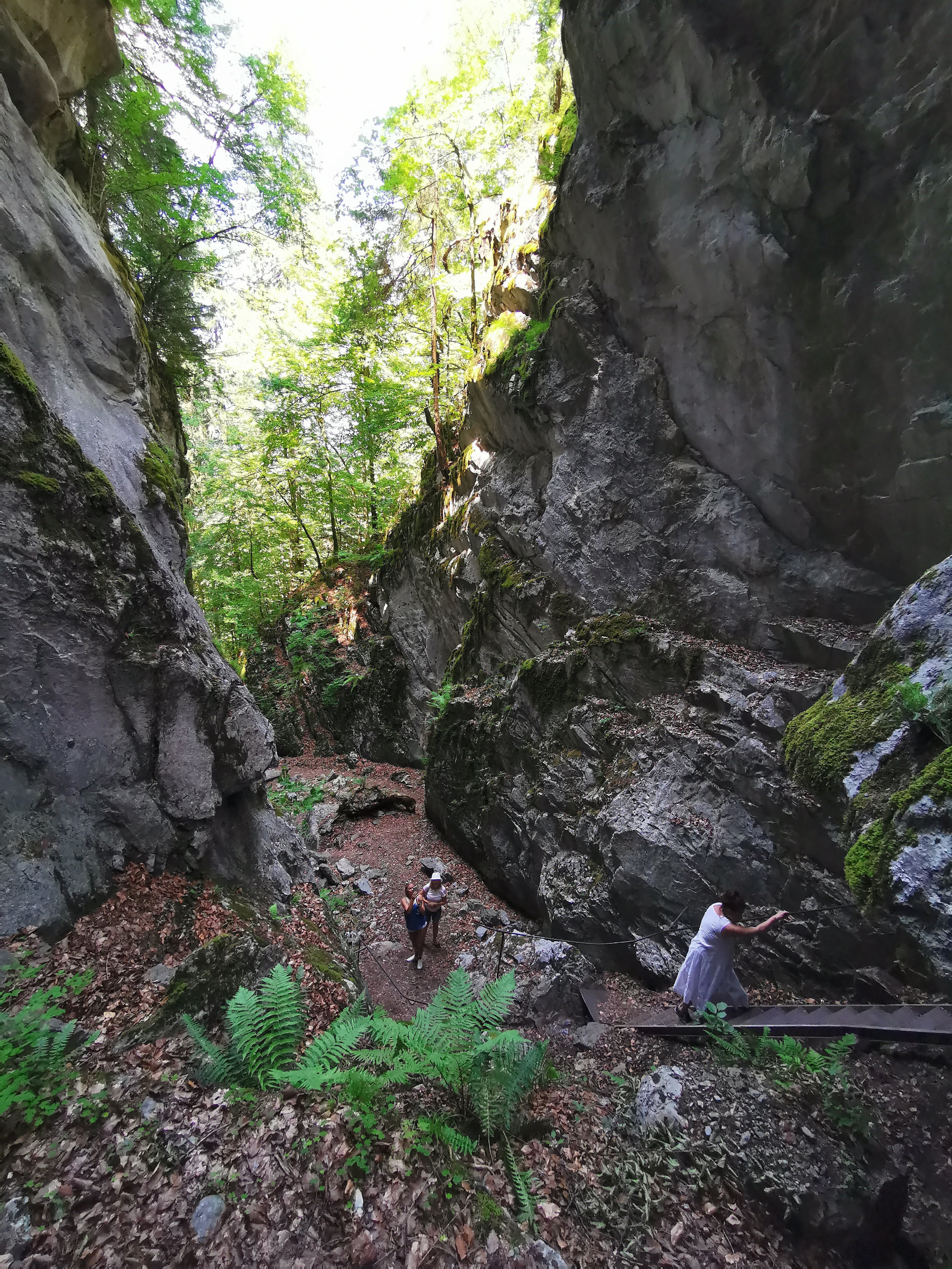 Photo n° 1 de l'avis de Thibaud.e fait le 16/07/2019 à 07:15