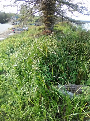 Resort «Bay Mills Resort & Casinos», reviews and photos, 11386 W Lakeshore Dr, Brimley, MI 49715, USA