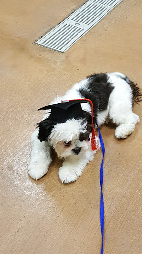 Pet Supply Store «PetSmart», reviews and photos, 19175 Lyndon B Johnson Fwy, Mesquite, TX 75150, USA