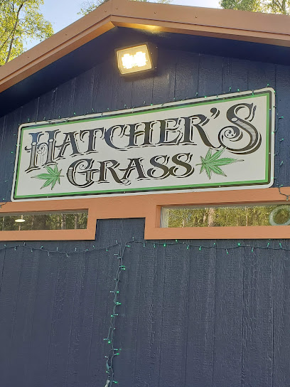 Hatcher's Grass