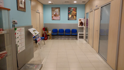 Clinica Veterinaria Anavets
