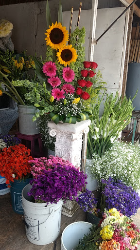 Florería de Jesús – Cuetzalan