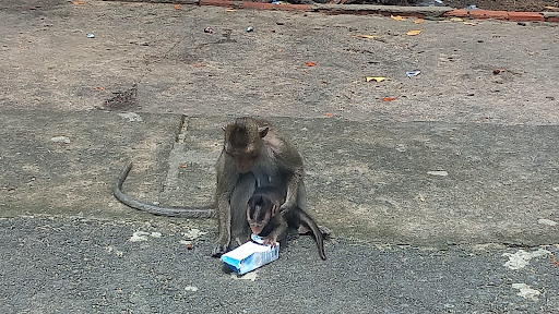 Top 20 cửa hàng play Huyện Cần Giờ Hồ Chí Minh 2022