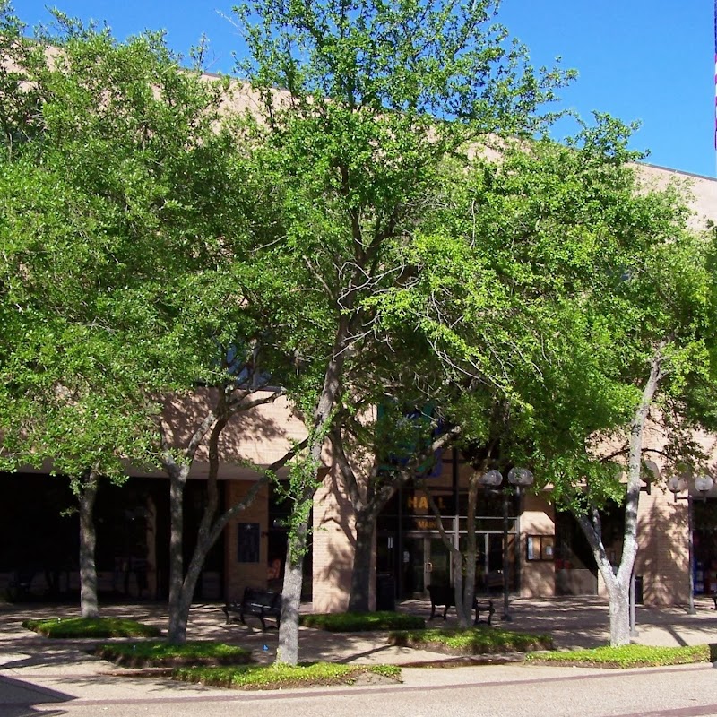 Beaumont ,TX City Hall
