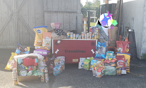 Pet Supply Store «Petco», reviews and photos, 1851 Sunrise Hwy, Bay Shore, NY 11706, USA