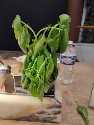 Photo n°62 de Vapiano Disney Village Pasta Pizza Bar à Chessy ()