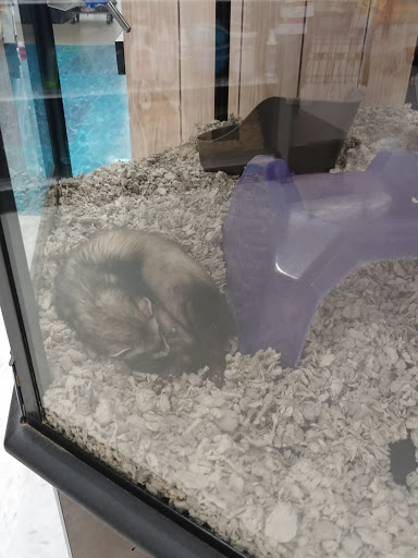 Pet Supply Store «Petco Animal Supplies», reviews and photos, 3800 S Tamiami Trail #20, Sarasota, FL 34239, USA