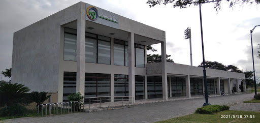 Ministerio Del Ambiente