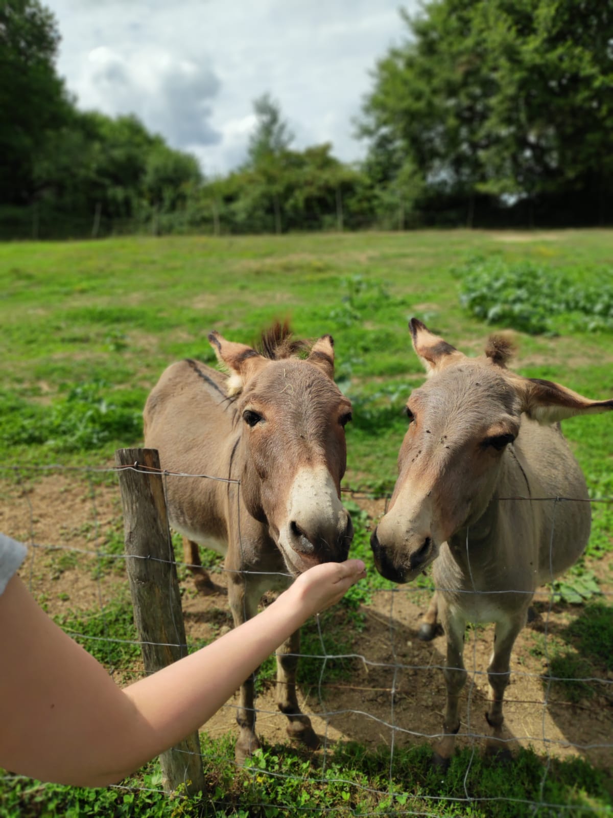 Photo n° 1 de l'avis de Sophie.a fait le 20/08/2019 à 07:20