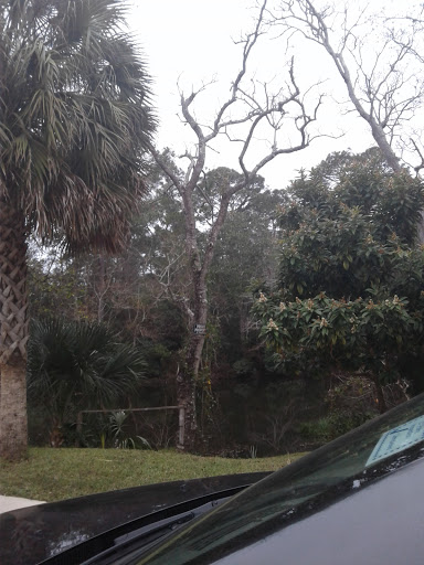 Golf Course «Osceola Municipal Golf Course», reviews and photos, 300 Tonawanda Dr, Pensacola, FL 32506, USA