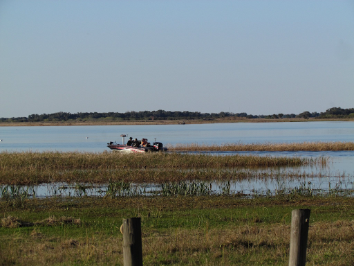 Recreation «Kissimmee Swamp Tours», reviews and photos, 4500 Joe Overstreet Rd, Kenansville, FL 34739, USA