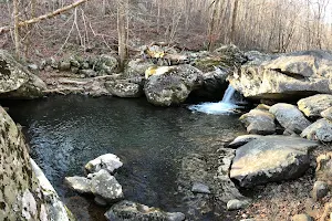 Nicholson Hollow Trail image