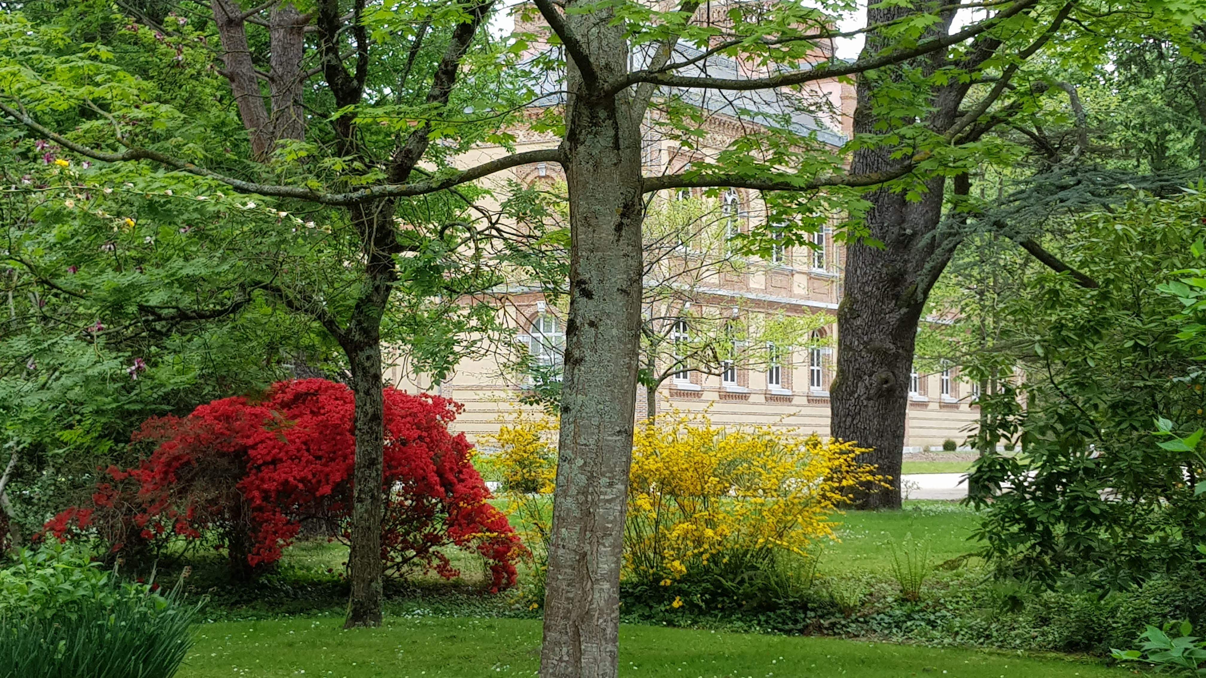 Photo n° 2 de l'avis de Pierre-B..u fait le 11/05/2019 à 12:19
