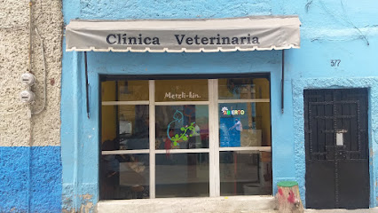 Servicios veterinarios Metzli-kin
