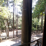 Photo n°3 de l'avis de Matteo.i fait le 14/08/2021 à 19:07 sur le  Baita San Giovanni à Motta Montecorvino