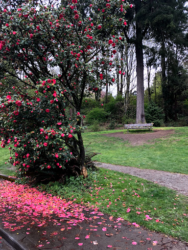 Park «Viretta Park», reviews and photos, 151 Lake Washington Blvd E, Seattle, WA 98112, USA