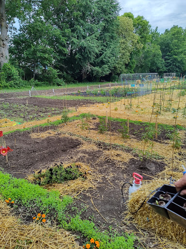 Ben Franklin Community Garden