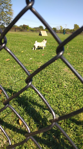 Park «Maple Hill Dog Park», reviews and photos, 390 County Rd 78, Middletown, NY 10940, USA