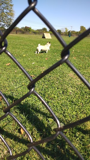 Maple Hill Dog Park - photo 36