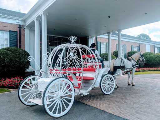 Country Club «Willow Brook Country Club», reviews and photos, 3205 W Erwin St, Tyler, TX 75702, USA