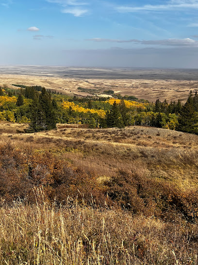 Cypress Hills Interprovincial Park - Saskatchewan