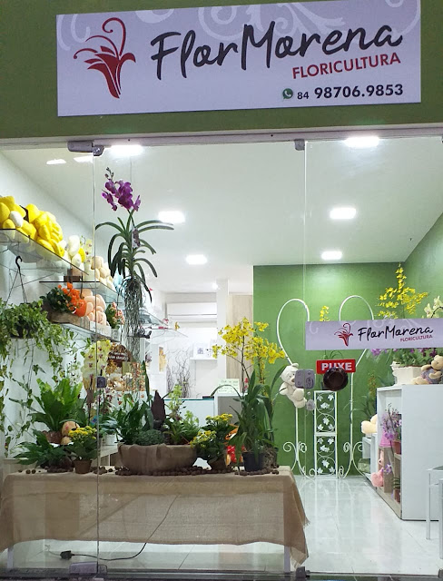 Flor Morena Floricultura