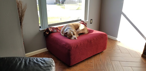 Pet Boarding Service «Ohana Pet Resort», reviews and photos, 25 N Grove St, Merritt Island, FL 32953, USA