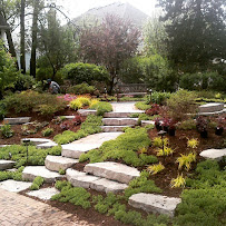 Cantellano Landscaping