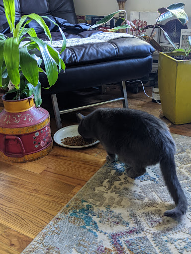 Pet Supply Store «PetSmart», reviews and photos, 310 NJ-36, West Long Branch, NJ 07764, USA