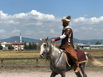 Gölcük Rahvan At Bakım Tesisleri