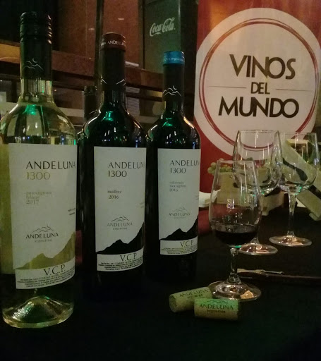 Vinos Del Mundo / Montevideo