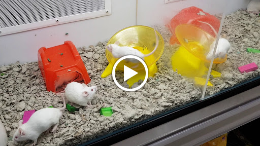 Pet Supply Store «Petco Animal Supplies», reviews and photos, 1150 Concord Ave #160, Concord, CA 94520, USA