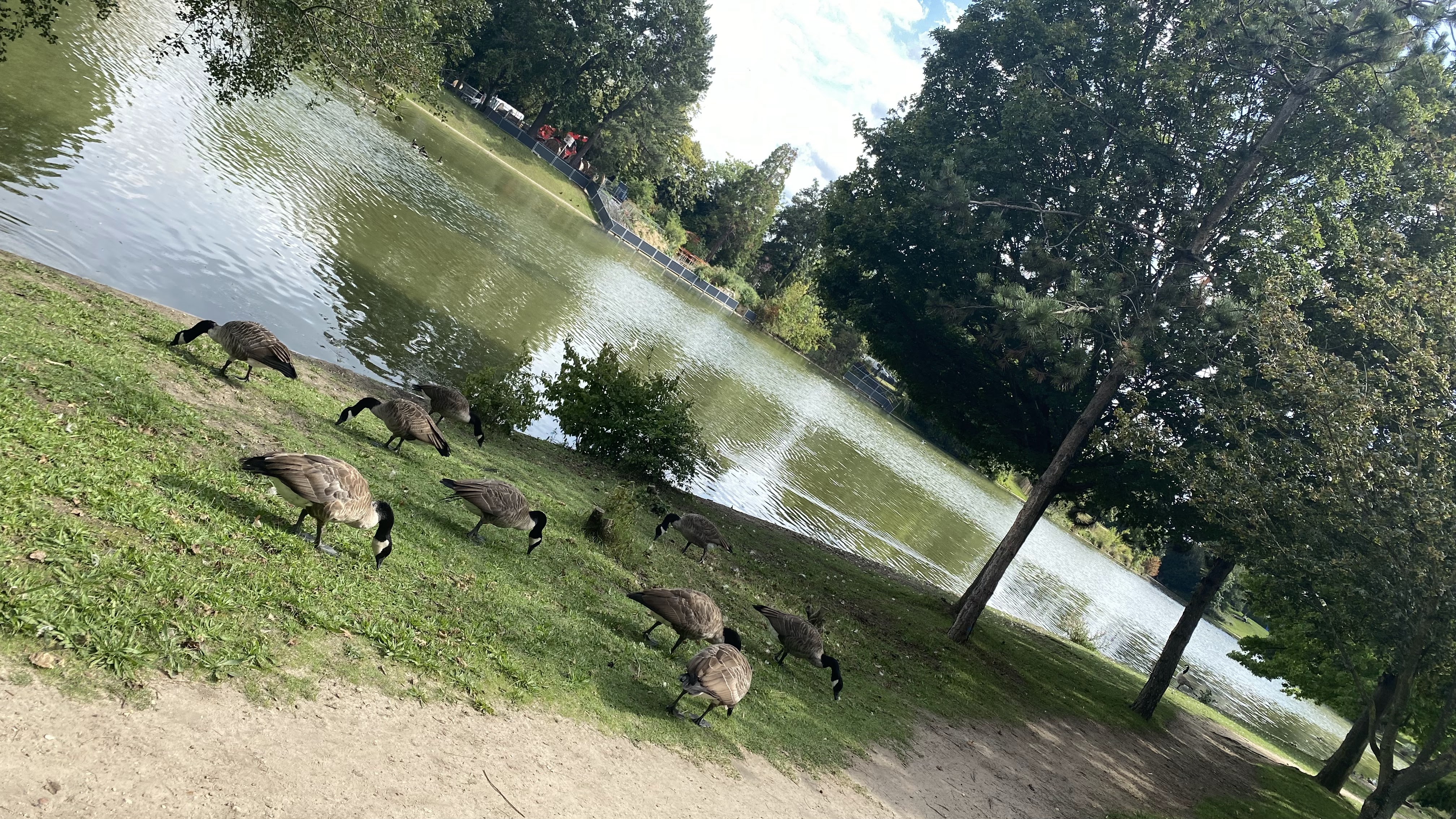 Photo n° 2 de l'avis de N. fait le 16/08/2023 à 16:36