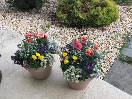 Florist «Philips Florist, Inc.», reviews and photos, 920 Market St, Oxford, PA 19363, USA