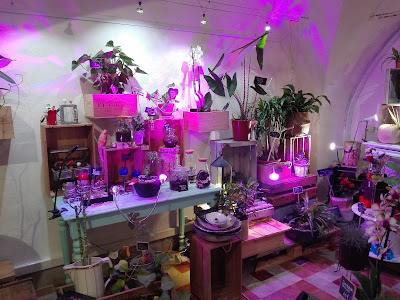 Atelier Marine Fleurs à Étoile-sur-Rhône
