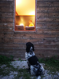 Photo n°21 de pizza la Kbane du lac à Saint-Alban-d'Hurtières ()