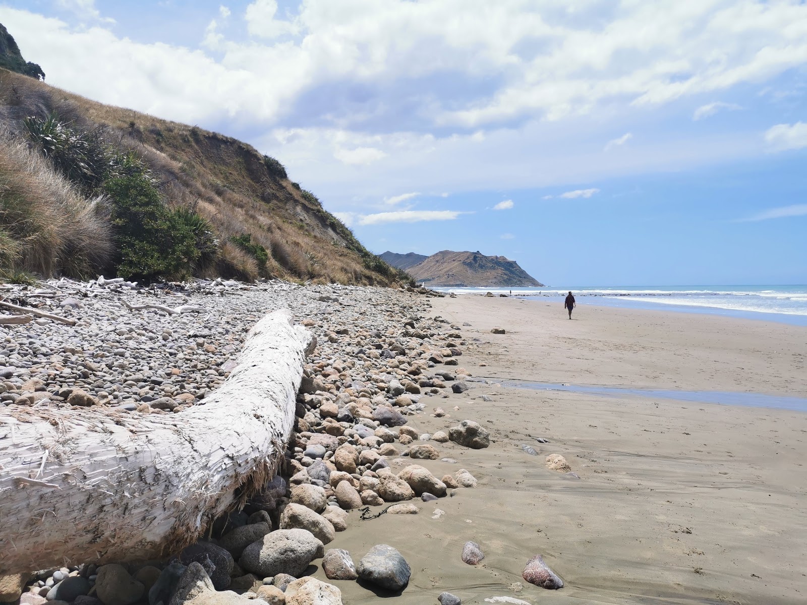 Kairakau Beach'in fotoğrafı uçurumlarla desteklenmiş